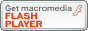 get flash button 88x31